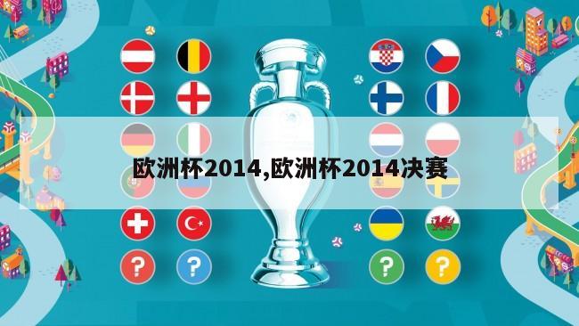 欧洲杯2014,欧洲杯2014决赛