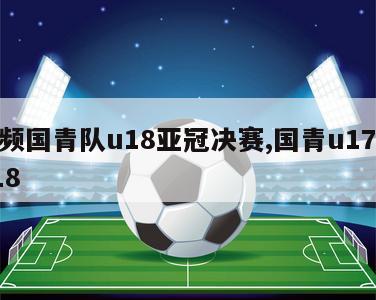 视频国青队u18亚冠决赛,国青u17vsu18